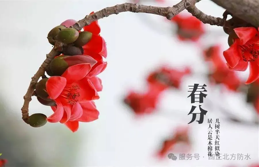 1744170136622185HDze.png 6403.webp.png